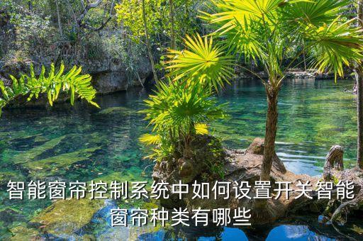 智能窗簾控制系統(tǒng)中如何設(shè)置開關(guān)智能窗簾種類有哪些