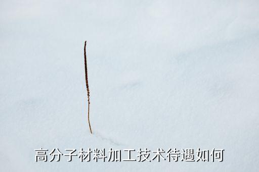 諸暨聲韻智能科技怎么樣，高分子材料加工技術(shù)待遇如何