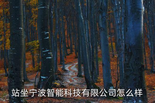 站坐寧波智能科技有限公司怎么樣