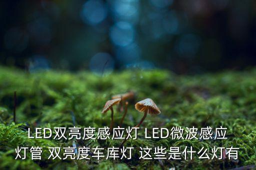 LED雙亮度感應(yīng)燈 LED微波感應(yīng)燈管 雙亮度車庫(kù)燈 這些是什么燈有