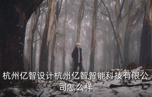 杭州億智設(shè)計(jì)杭州億智智能科技有限公司怎么樣