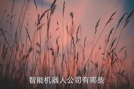 智能機器人公司有哪些