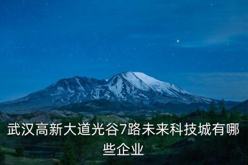未來智能科技城有哪些企業(yè)，武漢高新大道光谷7路未來科技城有哪些企業(yè)