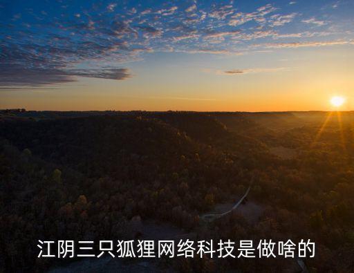 江陰三只狐貍網(wǎng)絡(luò)科技是做啥的