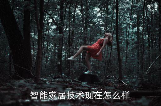 智能家居技術(shù)現(xiàn)在怎么樣