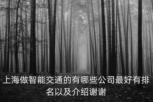上海智能科技有哪些企業(yè)，上海做智能交通的有哪些公司最好有排名以及介紹謝謝