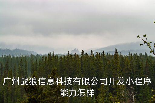 廣州戰(zhàn)狼信息科技有限公司開發(fā)小程序能力怎樣
