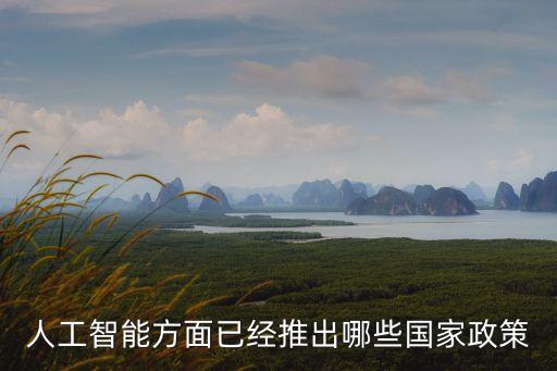 人工智能方面已經(jīng)推出哪些國(guó)家政策