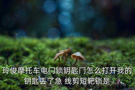玲俊摩托車電門鎖鑰匙門怎么打開(kāi)我的鑰匙丟了急 線剪短靶鎖是