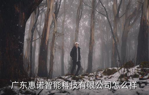 惠騰智能科技怎么樣，有人知道奕騰智能科技這個公司發(fā)展前景怎么樣嗎