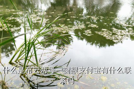 什么是布云兩號(hào)一窗跟支付寶有什么聯(lián)系嗎