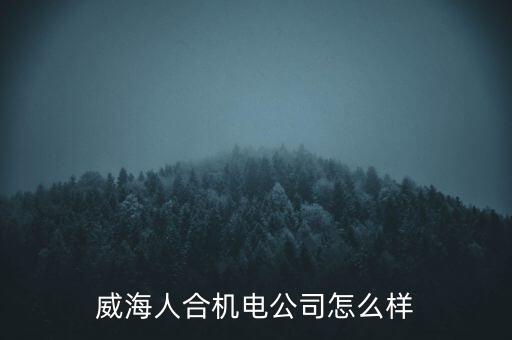 威海人合機(jī)電公司怎么樣
