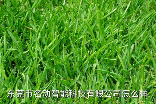 東莞市名動(dòng)智能科技有限公司怎么樣