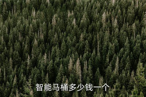 智能馬桶多少錢一個(gè)