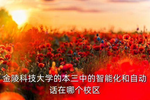 金陵科技大學的本三中的智能化和自動話在哪個校區(qū)
