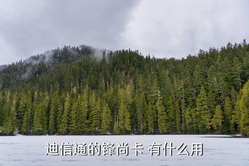迪信通的鋒尚卡 有什么用