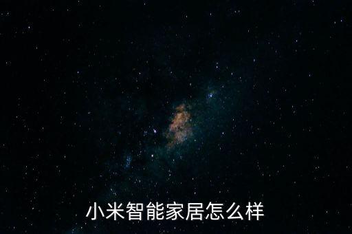 東營(yíng)小米智能科技怎么樣，小米公司怎么樣