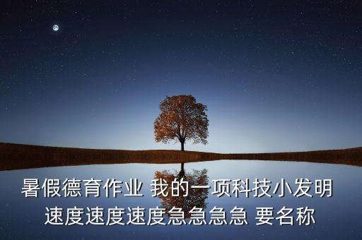 暑假德育作業(yè) 我的一項(xiàng)科技小發(fā)明 速度速度速度急急急急 要名稱(chēng)