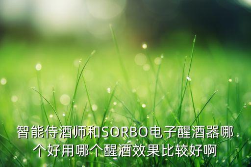 智能科技和白酒哪個(gè)好，智能侍酒師和SORBO電子醒酒器哪個(gè)好用哪個(gè)醒酒效果比較好啊