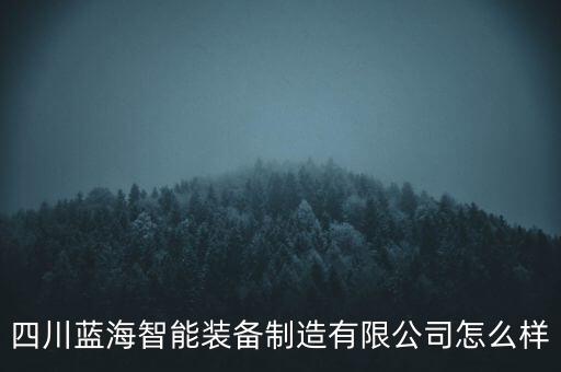 四川藍海智能裝備制造有限公司怎么樣