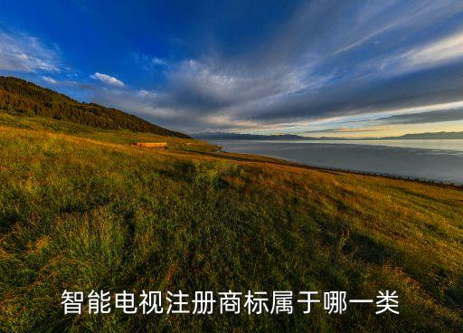 智能電視注冊商標(biāo)屬于哪一類