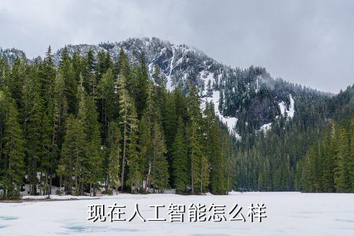 現(xiàn)在人工智能怎么樣