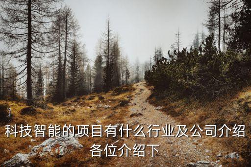 豪江智能科技項目有哪些，OYES公司旗下都有哪些項目呢