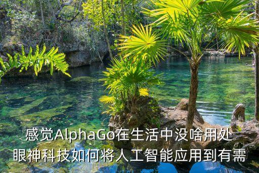 感覺AlphaGo在生活中沒啥用處眼神科技如何將人工智能應(yīng)用到有需