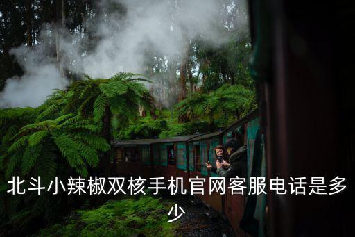 北斗小辣椒雙核手機官網客服電話是多少