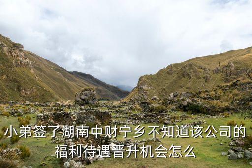 小弟簽了湖南中財寧鄉(xiāng)不知道該公司的福利待遇晉升機會怎么