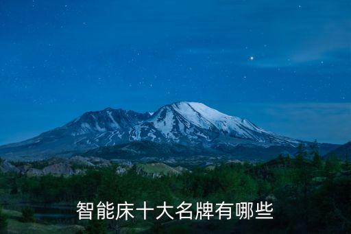智能高科技床墊有哪些產(chǎn)品，什么牌子的智能床墊比較好呀