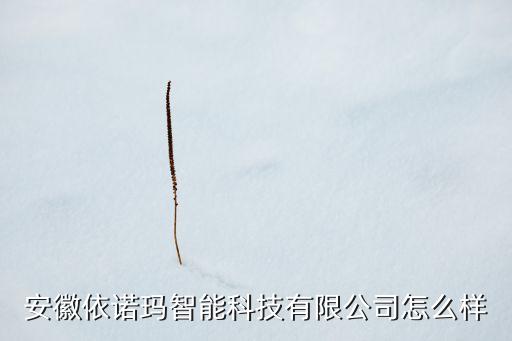 安徽依諾瑪智能科技有限公司怎么樣
