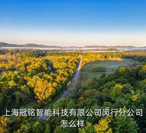 閔行區(qū)電子智能科技有什么，請問閔行區(qū)有哪些電子大廠如有地址等介紹就更好了謝謝