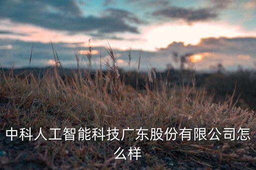 中科人工智能科技廣東股份有限公司怎么樣
