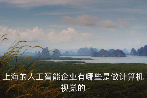 上海的人工智能企業(yè)有哪些是做計算機視覺的