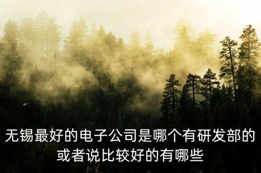 無錫最好的電子公司是哪個有研發(fā)部的或者說比較好的有哪些