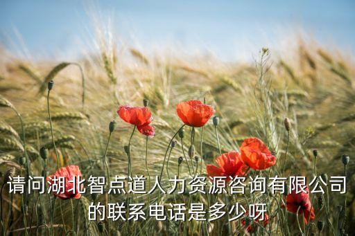 道賢智能科技招聘電話是多少，人才啊這家公司是干什么的