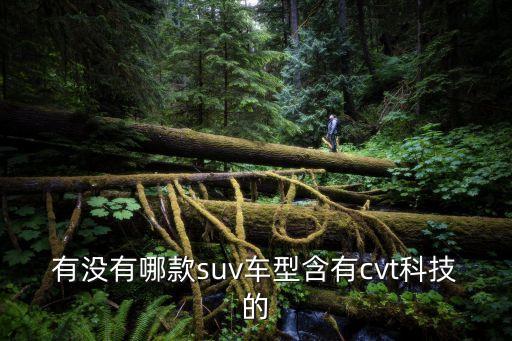 有沒有哪款suv車型含有cvt科技的