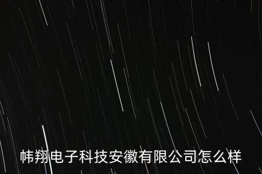幃翔電子科技安徽有限公司怎么樣