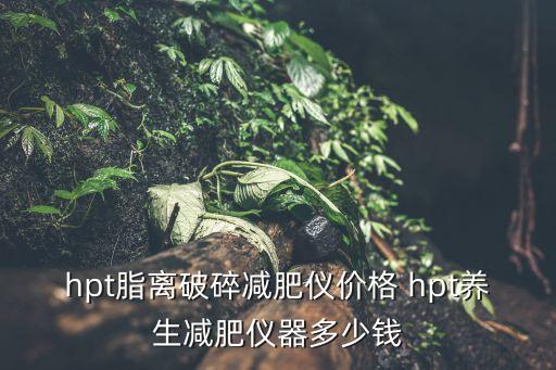 hpt脂離破碎減肥儀價(jià)格 hpt養(yǎng)生減肥儀器多少錢