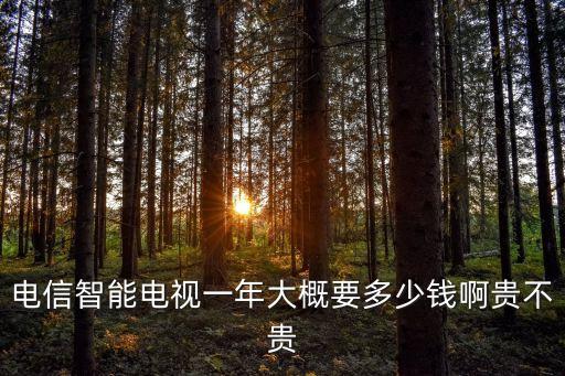 電信智能電視一年大概要多少錢啊貴不貴