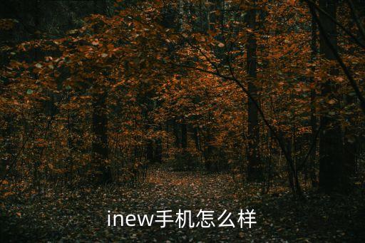 天津新松智能科技怎么樣，沈陽(yáng)新松智能驅(qū)動(dòng)股份有限公司怎么樣