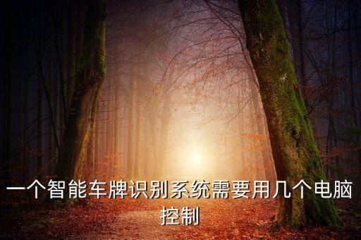 一個(gè)智能車牌識(shí)別系統(tǒng)需要用幾個(gè)電腦控制