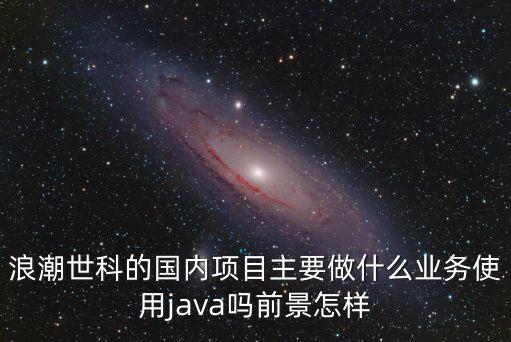 浪潮世科的國內(nèi)項(xiàng)目主要做什么業(yè)務(wù)使用java嗎前景怎樣