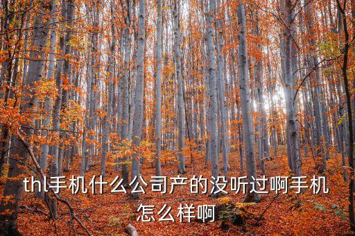 帝悅智能科技怎么樣，帝悅智能鎖品牌怎么樣