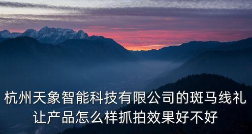 杭州天象智能科技有限公司的斑馬線禮讓產(chǎn)品怎么樣抓拍效果好不好