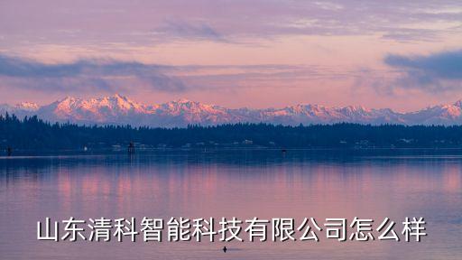 山東動(dòng)脈智能科技怎么樣，山東清科智能科技有限公司怎么樣