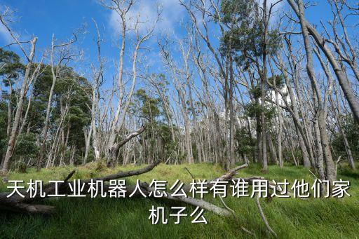 天機(jī)工業(yè)機(jī)器人怎么樣有誰用過他們家機(jī)子么