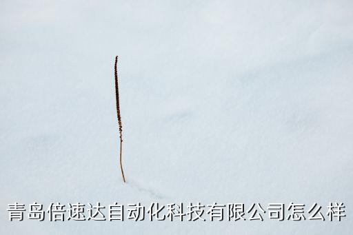 青島倍速達自動化科技有限公司怎么樣