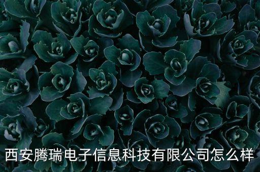 西安騰瑞電子信息科技有限公司怎么樣